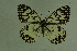  ( - DNAwthmel 100)  @13 [ ] Copyright (2009) Unspecified Unspecified
