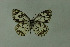  ( - DNAwthmel 233)  @13 [ ] Copyright (2009) Unspecified Unspecified