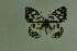  ( - DNAwthmel 101)  @13 [ ] Copyright (2009) Unspecified Unspecified