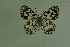  ( - DNAwthmel 101)  @13 [ ] Copyright (2009) Unspecified Unspecified