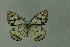  ( - DNAwthmel 234)  @13 [ ] Copyright (2009) Unspecified Unspecified