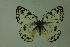  ( - DNAwthmel 009)  @13 [ ] Copyright (2009) Unspecified Unspecified