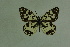  ( - DNAwthmel 102)  @13 [ ] Copyright (2009) Unspecified Unspecified