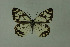  ( - DNAwthmel 235)  @13 [ ] Copyright (2009) Unspecified Unspecified