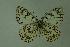  ( - DNAwthmel 009)  @13 [ ] Copyright (2009) Unspecified Unspecified