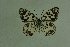  ( - DNAwthmel 102)  @13 [ ] Copyright (2009) Unspecified Unspecified