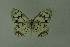  ( - DNAwthmel 235)  @13 [ ] Copyright (2009) Unspecified Unspecified