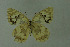  ( - DNAwthmel 237)  @13 [ ] Copyright (2009) Unspecified Unspecified