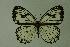  ( - DNAwthmel 012)  @13 [ ] Copyright (2009) Unspecified Unspecified