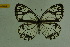  ( - DNAwthmel 105)  @13 [ ] Copyright (2009) Unspecified Unspecified