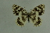  ( - DNAwthmel 238)  @13 [ ] Copyright (2009) Unspecified Unspecified
