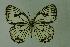  ( - DNAwthmel 012)  @13 [ ] Copyright (2009) Unspecified Unspecified