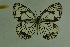  ( - DNAwthmel 105)  @13 [ ] Copyright (2009) Unspecified Unspecified