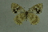  ( - DNAwthmel 238)  @13 [ ] Copyright (2009) Unspecified Unspecified