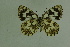  ( - DNAwthmel 106)  @14 [ ] Copyright (2009) Unspecified Unspecified