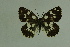  ( - DNAwthmel 107)  @14 [ ] Copyright (2009) Unspecified Unspecified
