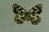  ( - DNAwthmel 107)  @14 [ ] Copyright (2009) Unspecified Unspecified