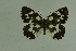  ( - DNAwthmel 108)  @14 [ ] Copyright (2009) Unspecified Unspecified