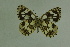  ( - DNAwthmel 108)  @14 [ ] Copyright (2009) Unspecified Unspecified
