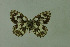 ( - DNAwthmel 109)  @14 [ ] Copyright (2009) Unspecified Unspecified