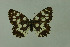  ( - DNAwthmel 110)  @14 [ ] Copyright (2009) Unspecified Unspecified