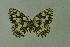  ( - DNAwthmel 110)  @14 [ ] Copyright (2009) Unspecified Unspecified