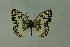  ( - DNAwthmel 246)  @13 [ ] Copyright (2009) Unspecified Unspecified