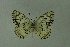  ( - DNAwthmel 246)  @13 [ ] Copyright (2009) Unspecified Unspecified