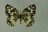  ( - DNAwthmel 247)  @13 [ ] Copyright (2009) Unspecified Unspecified
