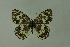  ( - DNAwthmel 250b)  @13 [ ] Copyright (2009) Unspecified Unspecified