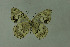  ( - DNAwthmel 250b)  @13 [ ] Copyright (2009) Unspecified Unspecified