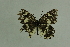  ( - DNAwthmel 251)  @13 [ ] Copyright (2009) Unspecified Unspecified