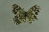  ( - DNAwthmel 251)  @13 [ ] Copyright (2009) Unspecified Unspecified