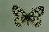  ( - DNAwthmel 027)  @13 [ ] Copyright (2009) Unspecified Unspecified