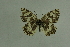  ( - DNAwthmel 252)  @13 [ ] Copyright (2009) Unspecified Unspecified