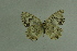  ( - DNAwthmel 252)  @13 [ ] Copyright (2009) Unspecified Unspecified
