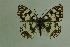  ( - DNAwthmel 028)  @13 [ ] Copyright (2009) Unspecified Unspecified