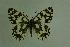  ( - DNAwthmel 029)  @13 [ ] Copyright (2009) Unspecified Unspecified