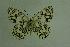  ( - DNAwthmel 029)  @13 [ ] Copyright (2009) Unspecified Unspecified