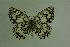  ( - DNAwthmel 030)  @13 [ ] Copyright (2009) Unspecified Unspecified