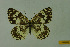  ( - DNAwthmel 124)  @14 [ ] Copyright (2009) Unspecified Unspecified