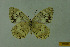  ( - DNAwthmel 124)  @14 [ ] Copyright (2009) Unspecified Unspecified