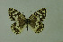  ( - DNAwthmel 125)  @14 [ ] Copyright (2009) Unspecified Unspecified