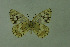  ( - DNAwthmel 125)  @14 [ ] Copyright (2009) Unspecified Unspecified