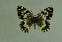  ( - DNAwthmel 126)  @14 [ ] Copyright (2009) Unspecified Unspecified
