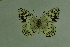  ( - DNAwthmel 126)  @14 [ ] Copyright (2009) Unspecified Unspecified