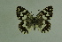  ( - DNAwthmel 127)  @14 [ ] Copyright (2009) Unspecified Unspecified