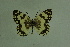  ( - DNAwthmel 128)  @14 [ ] Copyright (2009) Unspecified Unspecified