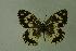  ( - DNAwthmel 066)  @14 [ ] Copyright (2009) Unspecified Unspecified