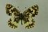  ( - DNAwthmel 069)  @14 [ ] Copyright (2009) Unspecified Unspecified